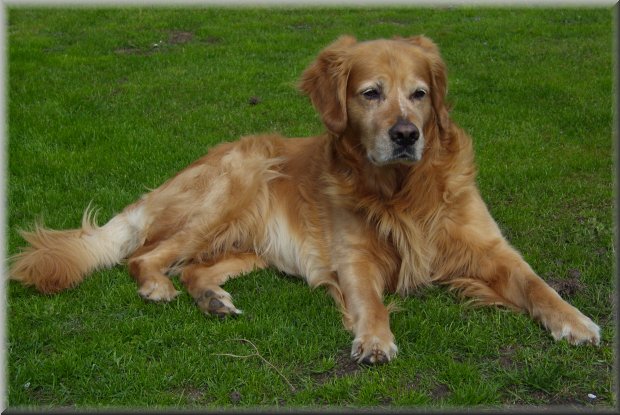 Benny 2010