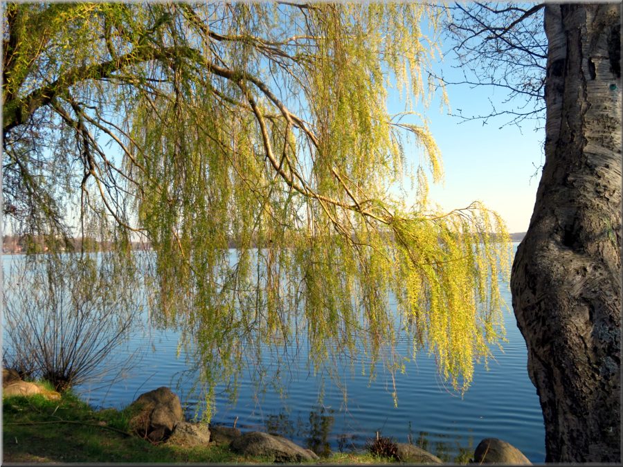 Gr. Plöner See