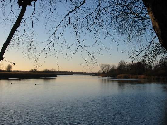 Lankersee