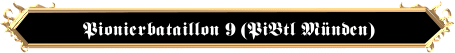 Pionierbataillon 9