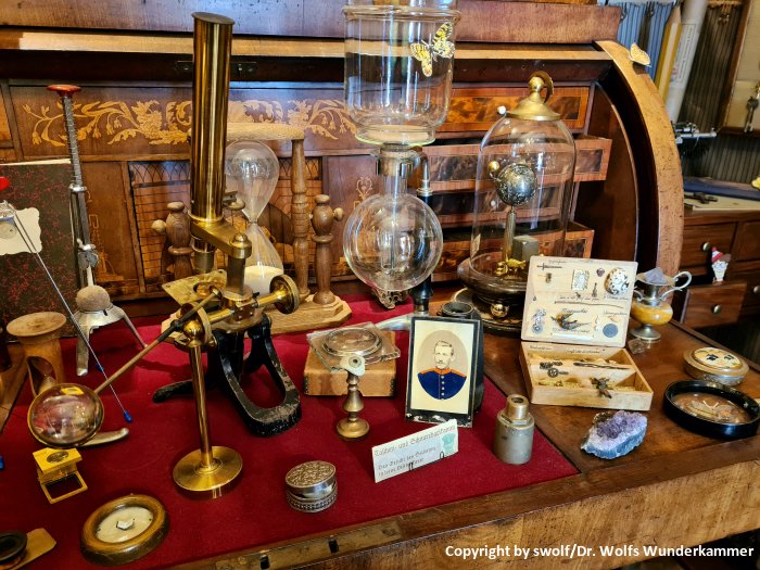 Blick in die Wunderkammer